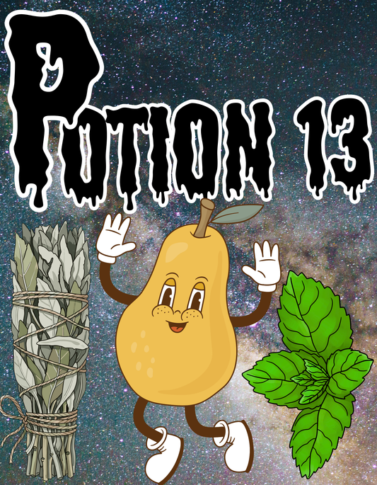 POTION 13